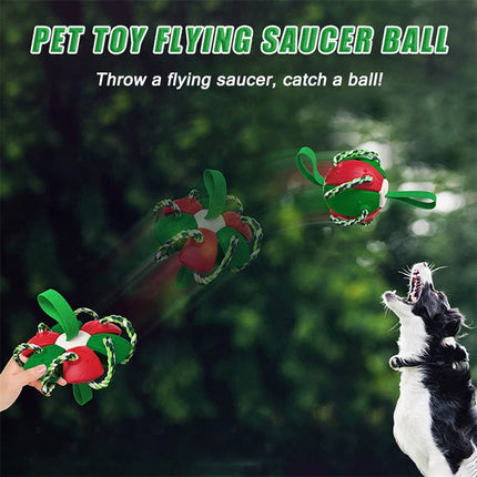 Interactive Dog Football Soccer Ball - Transforming Fetch & Tug Toy