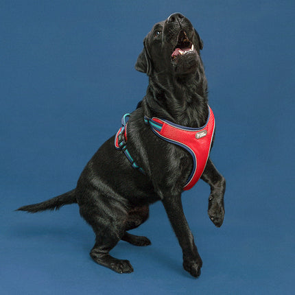 Double-Sided Breathable Chest Strap Dog Harness - Best Harness for French Bulldogs - Petpexi.com