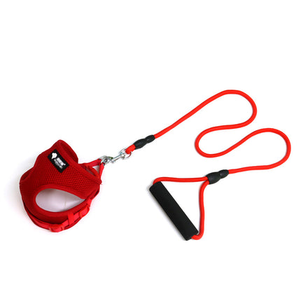 Premium Dog Leash and Collar Set with Foam Handle – Strong Nylon Rope Harness | petpexi.com