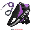 Purple set / L