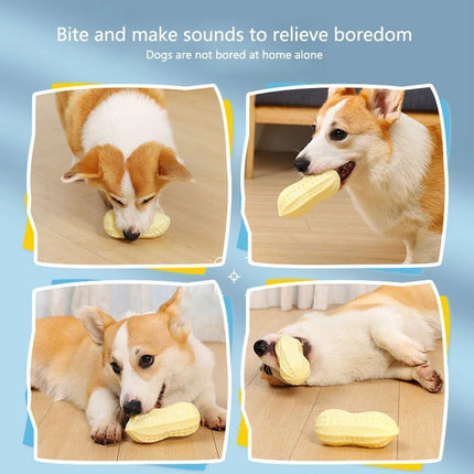 Rubber Vinyl Dog Toy – Elastic Chew & Teeth Cleaning Toy for Small Dogs Durable Dog Chew Toy Ball | www.petpexi.com