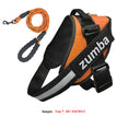 Orange set / L