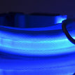 blue / L / battery