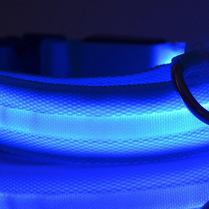 Nylon LED Luminous Dog Collar – Night Safety Flashing Glow Adjustable Pet Collar | Petpexi