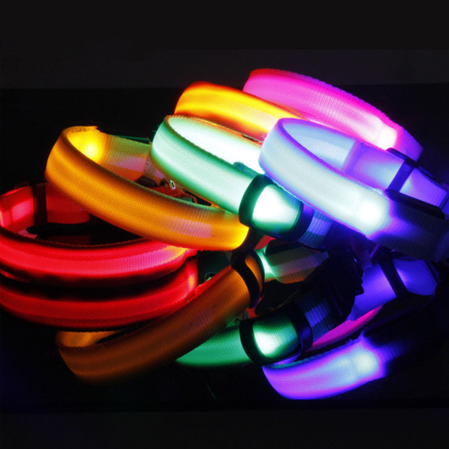 Safety LED Dog Collar – Waterproof Fiber Optic Light-Up Collar in Multiple Colors | Petpexi