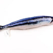 1 / 20cm