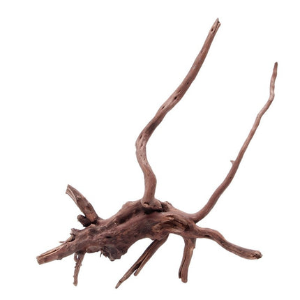 Natural Sunken Tree Root Aquarium Decoration – Premium Landscaping Wood | Fast & Free USA Shipping