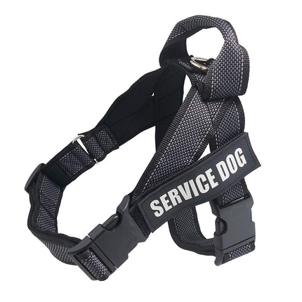 Personalized Custom Pet Harness – Stylish, Comfortable & Adjustable | Petpexi