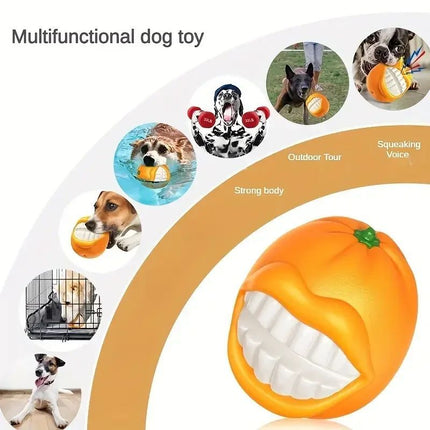 Sound Grinding Ball Dog Toothbrush Toy – Durable Interactive Chew & Barking Dog Toy | www.petpexi.com