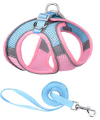 Pink Blue
