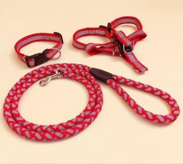 Pet Dog Leash with Collar - Adjustable, Heavy-Duty for All Sizes - petpexi.com