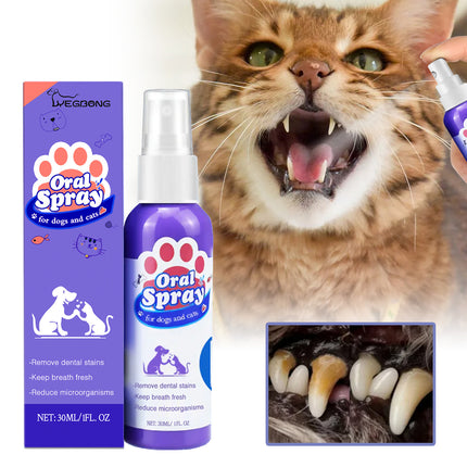 Pet Oral Spray for Cats & Dogs – Teeth Cleaning & Fresh Breath Formula | Petpexi