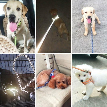 Pet Dog Leash with Collar - Adjustable, Heavy-Duty for All Sizes - petpexi.com