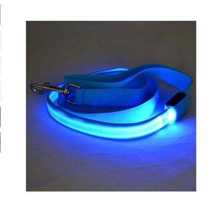 LED Illuminated Reflective Dog Leash – Nylon Pet Leash Rope with Light | petpexi.com