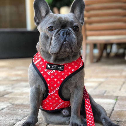 Ins Dog Pet Breathable Mesh Leash Chest Harness – Red Letter Design | PetPexi