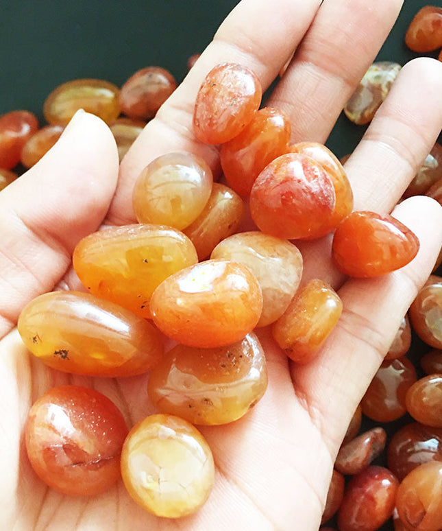 Carnelian Rough Stone Crystal – Natural Mineral Specimen & Decoration | Fast & Free USA Shipping