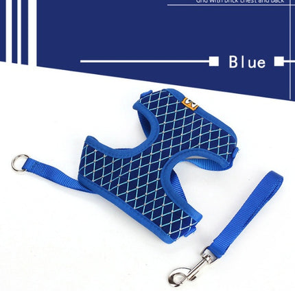 Dog Leash & Cat Leash – Durable Polyester Traction Belt | Petpexi