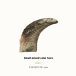 Ox horn / S