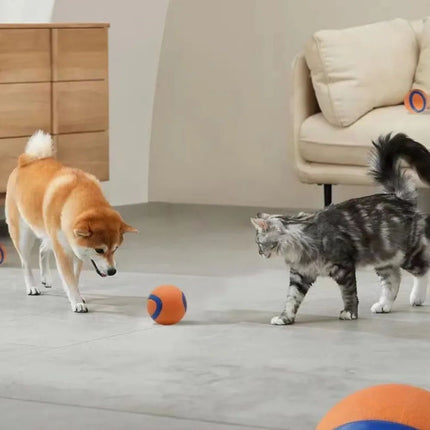 Dog Toy Ball – Tough Rubber Fetch Ball for Dogs | www.petpexi.com
