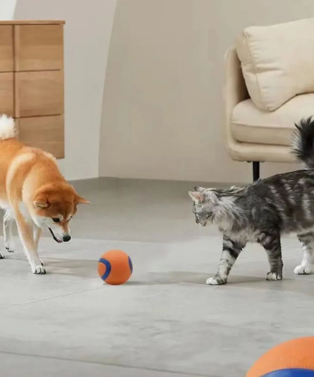 Dog Toy Ball – Tough Rubber Fetch Ball for Dogs | www.petpexi.com