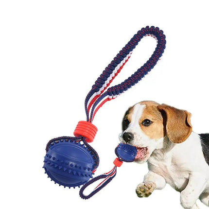 Interactive Dog Chew Ball with Rope – Teething & Training Toy | petpexi.com