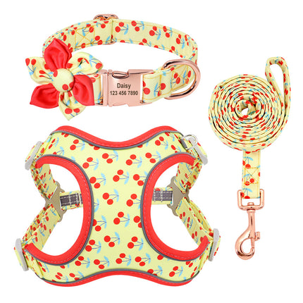 Small Dog Teddy & Corgi Collar with Leash & Strap – Durable & Adjustable | Petpexi