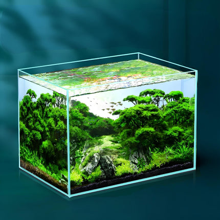 Super White Glass Household Desk Fish Tank – Medium Size | PetPexi