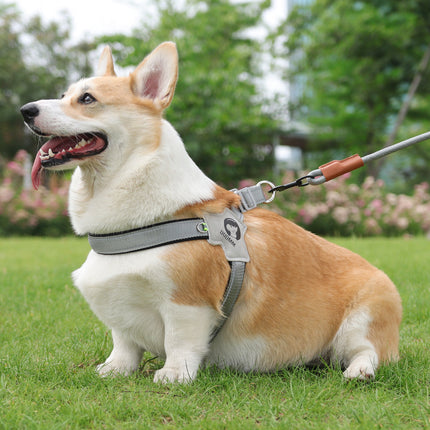 New Dog Breast Strap Saddle Harness – Breathable Reflective Suspenders with Hand Holding Rope | Petpexi