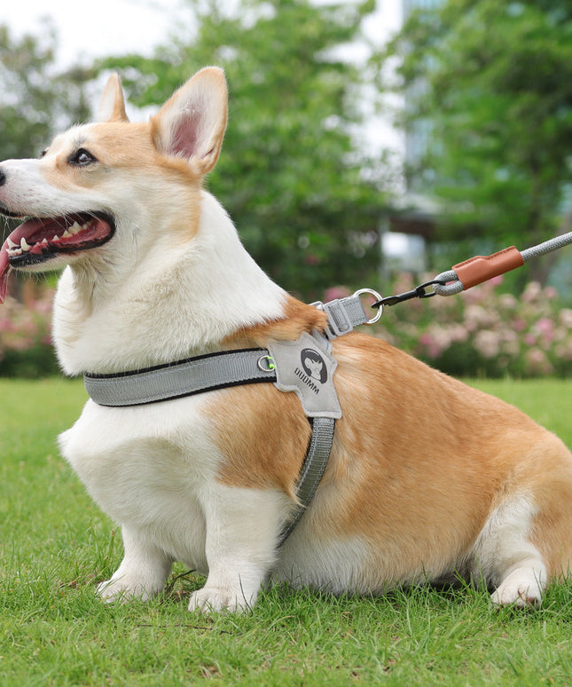 New Dog Breast Strap Saddle Harness – Breathable Reflective Suspenders with Hand Holding Rope | Petpexi