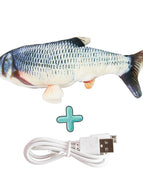 Crucian carp