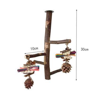 Parrot Bird Wood Stand Pole Toy – Stylish & Practical Apple Wood Stand | Free USA Shipping at PetPexi