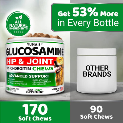 Yuma's Glucosamine For Dogs – Hip & Joint Supplement | 170 Chews | Pain Relief & Enhanced Mobility | Premium Quality | Fast & Free Shipping in the USA | www.petpexi.com