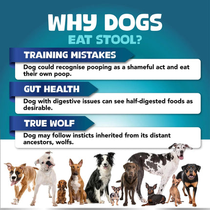 No Poo Chews for Dogs – Stop Poop Eating Behavior with Probiotics & Digestive Enzymes – 180 Soft Chews | www.petpexi.com