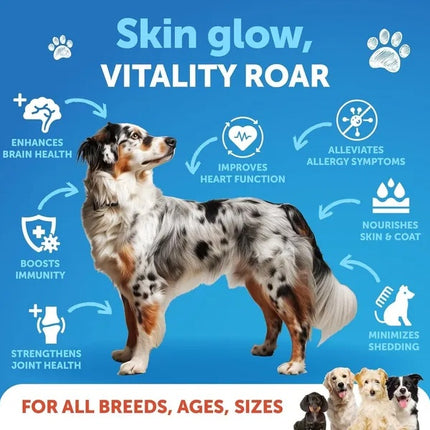 Wild Alaskan Salmon Oil for Dogs - Premium Omega-3 Joint & Coat Support | PetPexi
