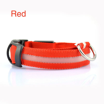 Safety LED Dog Collar with Tracker – Waterproof Light-Up Adjustable Collar | Petpexi