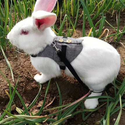 Rabbit Leash & Dress Chest Strap – Comfortable Pet Harness for Rabbits | Petpexi