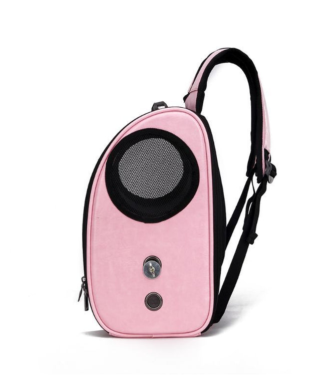 Foldable Porous & Breathable Pet Bag – Parrot Carrier | PetPexi