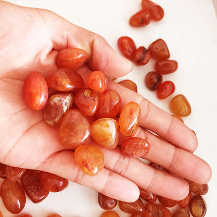 Carnelian Rough Stone Crystal – Natural Mineral Specimen & Decoration | Fast & Free USA Shipping