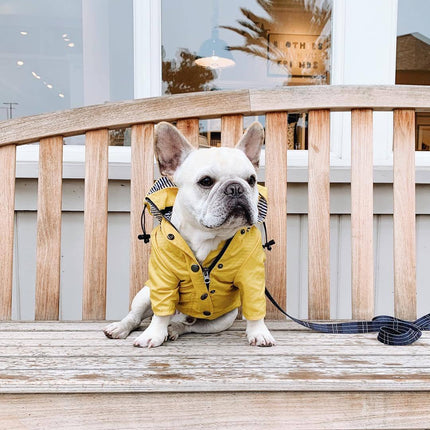Classic British Style Dog Raincoat – Waterproof Twill Jacket with Breathable Lining | Petpexi