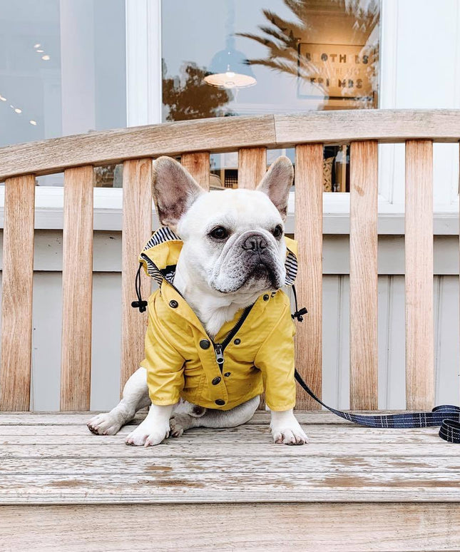 Classic British Style Dog Raincoat – Waterproof Twill Jacket with Breathable Lining | Petpexi