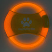 Yellow Light / USB