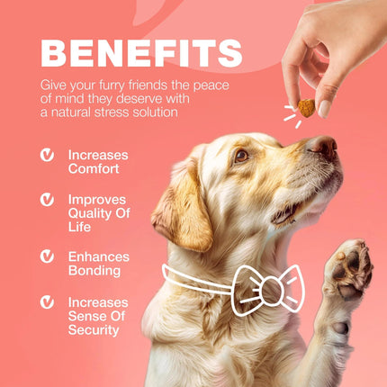 Dog Flea and Tick Treatment Chews – Natural Flea & Tick Prevention for Dogs – Immune Support Chewables – Soft Treats for All Breeds & Ages – Free U.S. Shipping