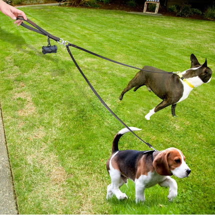 2-Way Leather Dog Leash - Hands-Free, Tangle-Free - petpexi.com