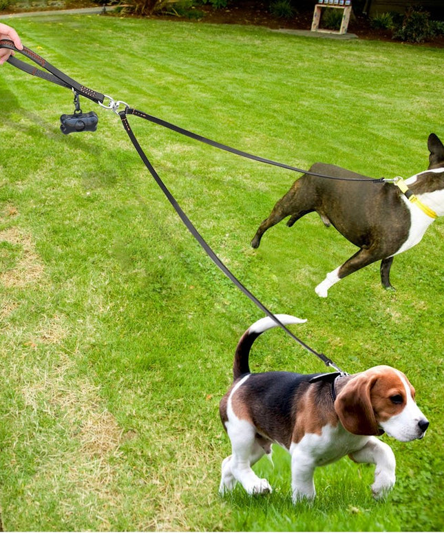 2-Way Leather Dog Leash - Hands-Free, Tangle-Free - petpexi.com