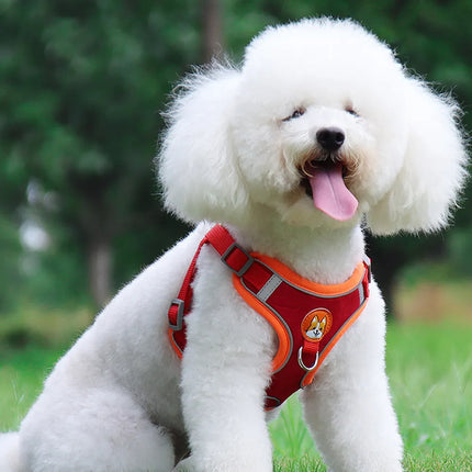 New Dog Leash and Harness Set | Adjustable Puppy Cat Harness Vest | Reflective No Pull Dog Harness | petpexi.com