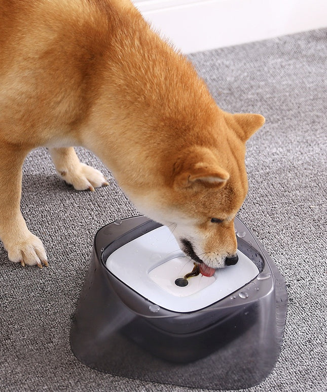 Floating No-Spill Pet Water Bowl – Anti-Wet Mouth Dog & Cat Feeder | Petpexi