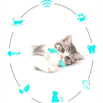 Mint Fish Cat Chew Toy – Silicone Teaser & Tooth-Cleaning Play Toy | Petpexi