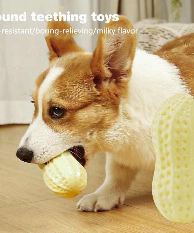 Rubber Vinyl Dog Toy – Elastic Chew & Teeth Cleaning Toy for Small Dogs Durable Dog Chew Toy Ball | www.petpexi.com