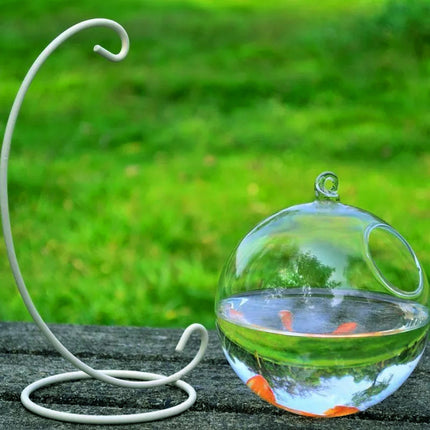 Mini Hanging Glass Vase Fish Tank with Borosilicate Glass | PetPexi