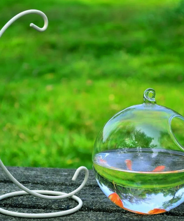 Mini Hanging Glass Vase Fish Tank with Borosilicate Glass | PetPexi